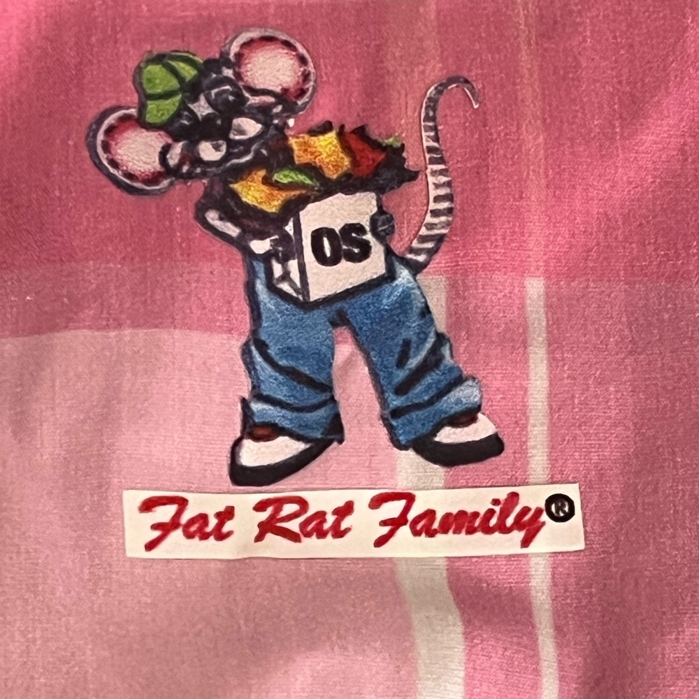 Fat Rat Family Pink Blue Plaid Rhinestone Angel Graphic Snap Button Shirt M/L - Picture 9 of 12